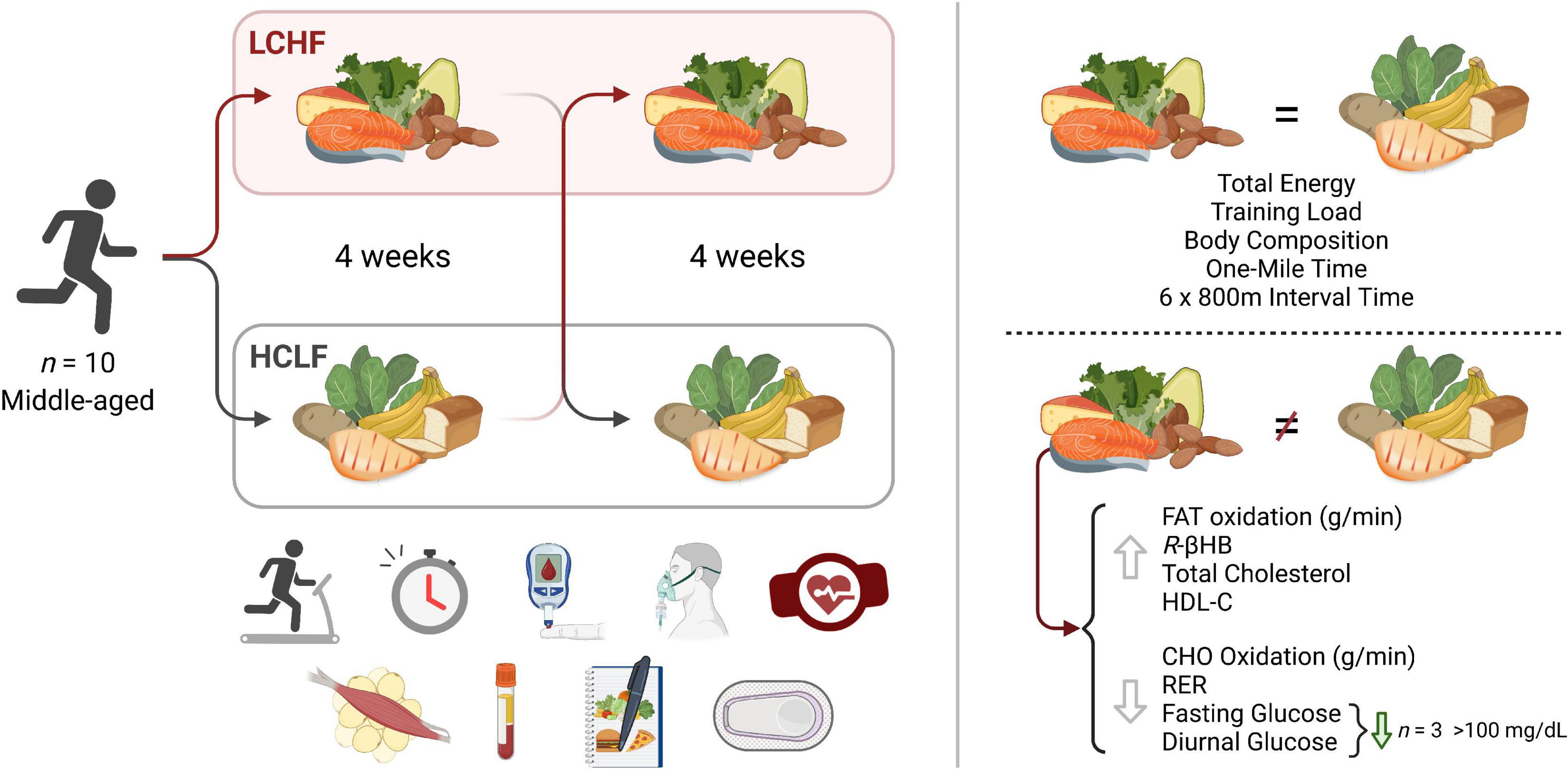 Low and high carbohydrate isocaloric diets on performance, fat oxidation, glucose and cardiometabolic health in middle age males